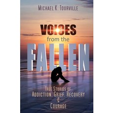 Voices from the Fallen: True Stories of Addiction Grief Recovery and Courage 平裝版, Burning Bulb Publishing, 英文