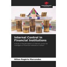 (英文圖書) Internal Control in Financial Institutions 平裝版, Our Knowledge Publishing, 英文