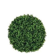 Sullivans 布什的黃楊木, 綠