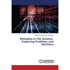 Metadata in File Systems: Exploring Problems and Solutions 平裝版, LAP Lambert Academic Publishing, 英文