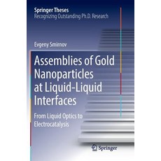 Assemblies of Gold Nanoparticles at Liquid-Liquid Interfaces: From Liquid Optics to Electrocatalysis 平裝版, Springer, 英文