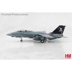 HM 全金屬 Grumman F-14A Tomcat 模型飛機 即將絕版 收藏精品