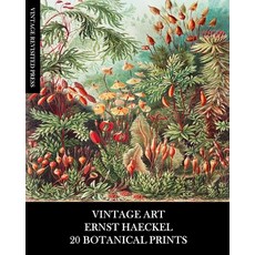 (英文圖書) Vintage Art: Ernst Haeckel: 20 Botanical Prints: Flora and Fauna Ephemera for Framing Collag... 平裝版, Blurb, 英文