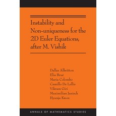 (英文圖書) Instability and Non-Uniqueness for the 2D Euler Equations After M. Vishik: (Ams-219) 平裝版, Princeton University Press, 英文