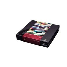 Royal Talens Rembrandt 粉彩 (Soft Pastels)-90色人物盒裝，人物繪畫專用，色彩鮮明，專業級質感, 90