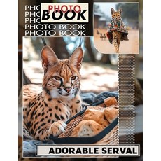 (英文圖書) Adorable Serval Photo Book: Stunning Collection Featuring 40 Unique Images Of T... 平裝版, Independently Published, 英文