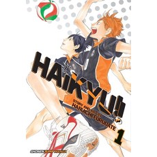 Haikyu!! Vol. 1 Volume 1 平裝版, Viz Media, 英文