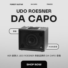 森韻木吉他工作室 DaCapo 75 專業級木吉他音箱 75瓦, 黑色