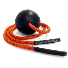 TIGERTAIL AIOV上的老虎尾巴球按摩6.6厘米, 黑色+橙色