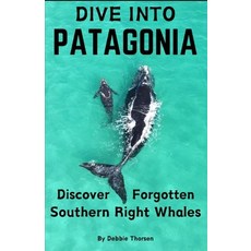 (英文圖書) Dive Into Patagonia: Discover Forgotten Southern Right Whales 平裝版, Independently Published, 英文