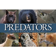 (英文圖書) Predators of North America 平裝版, Firefly Books, 英文