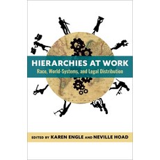 (英文圖書) Hierarchies at Work: Race World-Systems and Legal Distribution 精裝版, Columbia University Press, 英文