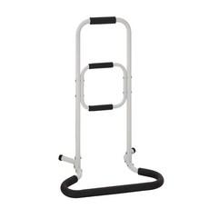 台灣製造 拐杖起身扶手架 安全床邊浴室扶手 三段式輔助器, 白, 1個