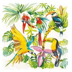 斑馬麥麥 餐巾紙, Multi-color, 1