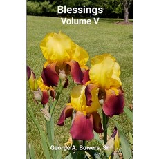 (英文圖書) Blessings Volume V: A Collection of Modern Five Minute Parables 平裝版, Lulu.com, 英文