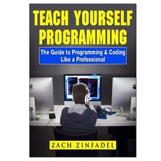 Teach Yourself Programming The Guide to Programming & Coding Like a Professional 平裝版, Abbott Properties, 英文