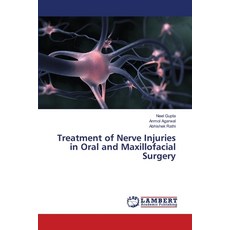 (英文圖書) Treatment of Nerve Injuries in Oral and Maxillofacial Surgery 平裝版, LAP Lambert Academic Publis..., 英文