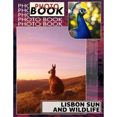 (英文圖書) Lisbon Sun and Wildlife Photo Book: Explore 40 Stunning Images Celebrating Lisb... 平裝版, Independently Published, 英文