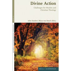 (英文圖書) Divine Action: Challenges for Muslim and Christian Theology 精裝版, Brill Schoningh, 英文