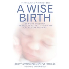 (英文圖書) A Wise Birth: Bringing Together the Best of Natural Childbirth with Modern Medicine 平裝版, Pinter & Martin Ltd, 英文