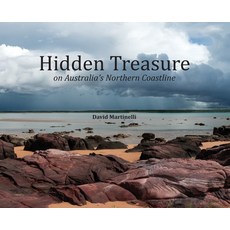 (英文圖書) Hidden Treasure 精裝版, DC Imaging, 英文