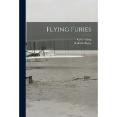 (英文圖書) Flying Furies 平裝版, Hassell Street Press, 英文