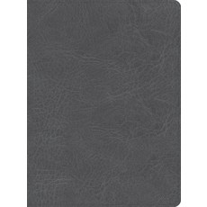 (英文圖書) CSB He Reads Truth Bible Smoke Leathertouch Indexed Imitation Leather, Holman Bibles, 英文, 仿皮