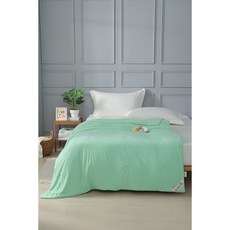 正版Arnold Palmer棉花霜淇淋被，輕柔透氣四季皆宜，多款顏色可選, 湖水