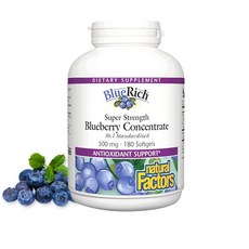 Natural Factors 36배 농축 캐나다 블루베리 500mg 180캡슐, 1개, 180정