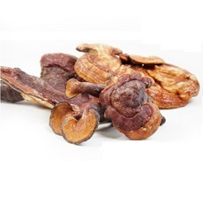 영지버섯(300g)-국내산, 300g, 1개