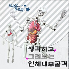 STORYKIT 人體骨架模型益智繪畫玩具