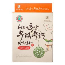 천년숨결 무럭무럭 자라라 어린이 홍삼, 200ml, 1개