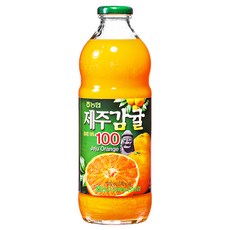 [농협]우리 과일 주스병, 1L, 1개