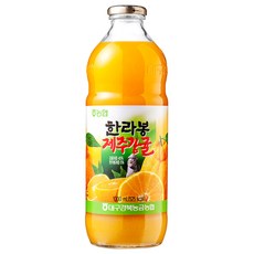 [농협]우리 과일 주스병, 1L, 1개
