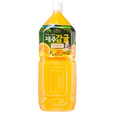 산약촌 제주감귤골드 PET 음료 2L, 1개
