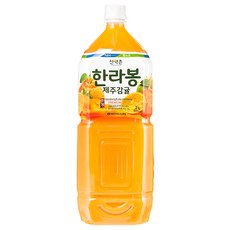 [산약촌] PET 음료 2L 제주감귤, 1개