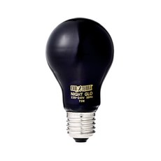 EXO TERRA HAGEN 爬蟲夜光燈泡, 1個, 單一顏色