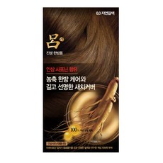 려 진생 한방폼 염색제, 6.0 자연갈색, 1개