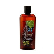 캐리비안솔루션즈 레인포레스트 시트러스 민트 샴푸, 237ml, 1개