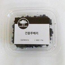 네이처가든 건블루베리 트레이, 170g, 1개