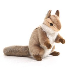 HANSATOY 松鼠絨毛玩偶, 混色, 松鼠, 15cm