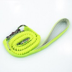 affetto 彈簧牽繩, 綠色