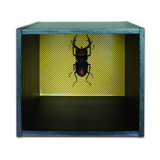 멜로우스페이스 Display Box, 차콜그레이 / BEETLE