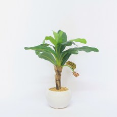 은나노플라워 바나나나무M(조화), 1개