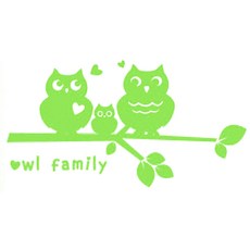 WDC-006 그래픽스티커 - 부엉이, 연두, 1개