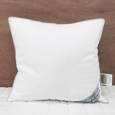 Apoa Room 素色抱枕