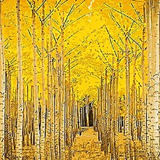 Pipo Painting DIY Q389秋季主題系列1, 1個