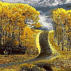 Pipo Painting DIY畫Q399秋季主題系列10, 1個