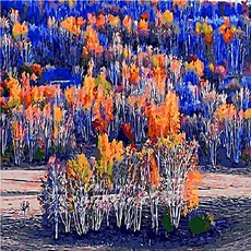 Pipo Painting DIY Q402秋季主題系列13, 1個