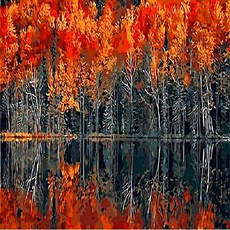 Pipo Painting DIY畫Q407秋季主題系列17, 1個